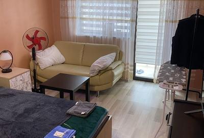 Garsonieră decomandată în Vișan - 7