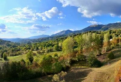 Teren intravilan de 10000 mp, în Corbeni - 5