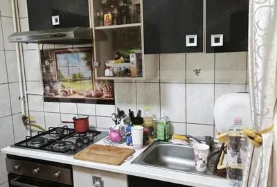 Apartament cu 2 camere semidecomandat în Banat - 8