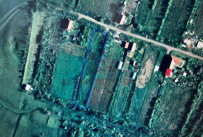 Teren intravilan 2.192 mp cu front 20 m - Seceani, Timiș - 5