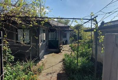 Casă cu Teren 435 Mp în Andronache - 3