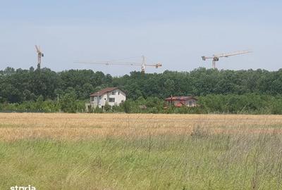 Spațiu comercial, în Balotești - 7