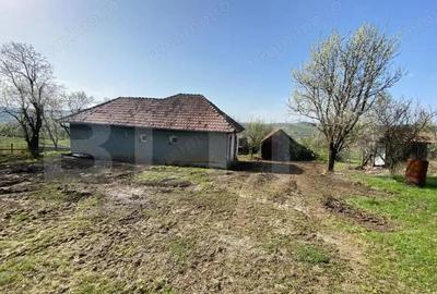 Casa cu 10000mp de teren in Buza, la 50 km de Cluj-Napoca - 10