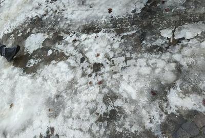 Teren de 835 mp, în Furnica - 2