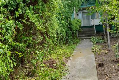 Teren de 3700 mp, în Ciurești