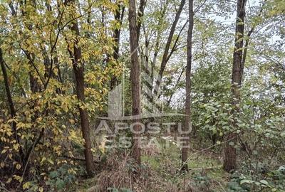 Teren Construcții intravilan de 3260 mp, în Cuied - 4