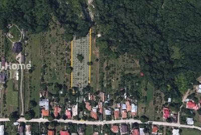 4898 MP Teren Intravilan | Prahova - Cornu De Jos | Toate Utilitatile Prezente - 5