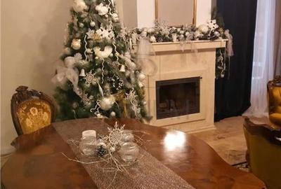 DUMBRAVITA- vila 5 camere, 3 bai, pretabil aftescool/ gradinita - 2