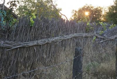 Teren intravilan in Delta Dunarii, C.A. Rosetti - Cardon - 10