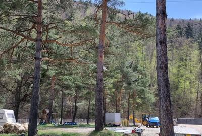 De vanzare CAMPING DARSTE - 15