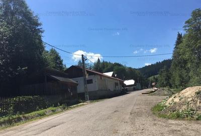 Casa P+E + atelier si anexe, Sadova, jud Suceava - 5