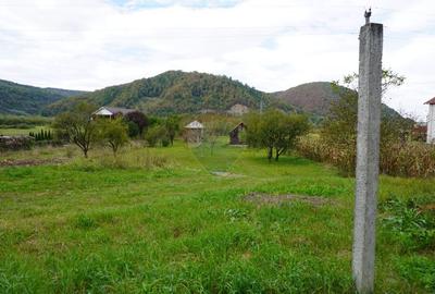 Teren 7968 mp Sighetu Marmatiei / Strada Lazu Baciului - 4
