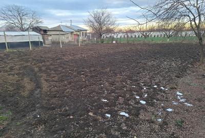 Casă cu 3 camere cu Teren 485 Mp în Frătești - 1