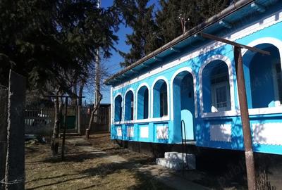 Casă cu Teren 2700 Mp în Iazu Nou - 8