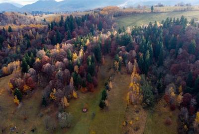 Proprietate autentica, stil traditional:Eco, cu parau pitore - 7