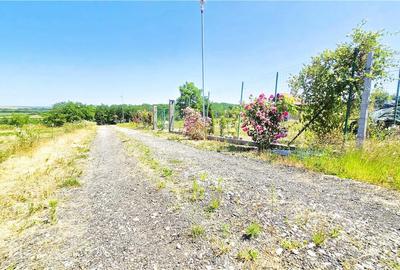 Teren Construcții intravilan de 500 mp, în Sud - 12