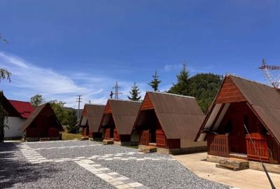 Casă cu 4 camere cu Teren 5000 Mp în Central - 3