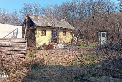 Teren de 3000 mp, în Bârnova - 4