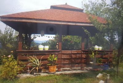Casa ( caramida, tencuieli interioare pe baza de argila) - 3