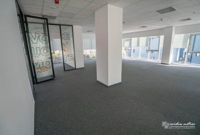 Birouri 216 mp Brancusi - 2