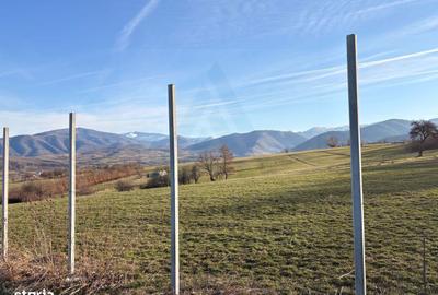 Spațiu comercial, în Poplaca