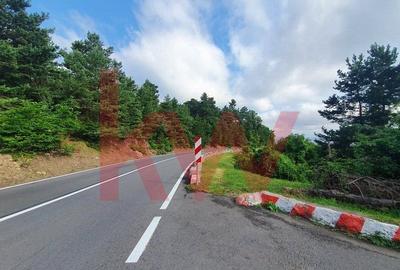 Teren cu priveliste superba si deschidere la drumul de Poiana Brasov - 11