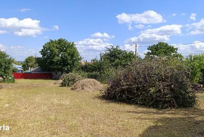 Casă cu 6 camere cu Teren 983 Mp în Central - 4