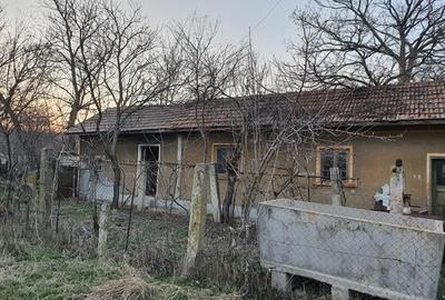 Vand casa si teren 600 mp Com. Scrioastea  langa Rosiori de Vede - 4