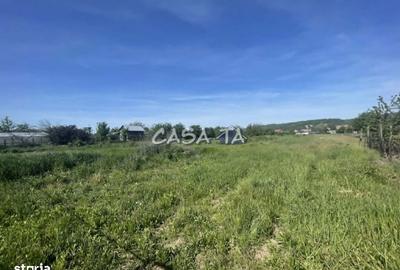 Spațiu comercial, în Șișești - 4