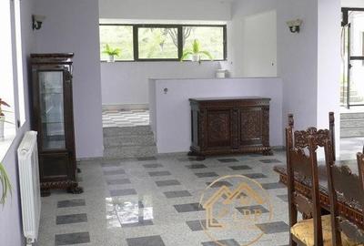 Valenii de Munte-Vila 13 camere, 6500mp teren, ideal business - 11