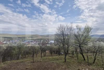 Teren de 2500 mp, în Viișoara