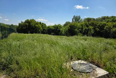 Teren de vanzare in Com.Gradistea,Ilfov, 35 km de Bucuresti - 5