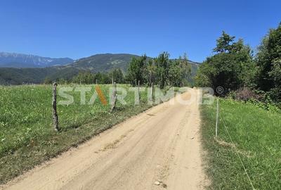 Teren extravilan Bran Podul Simonului - 8