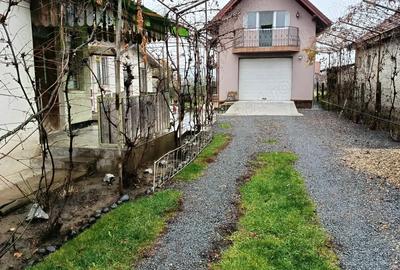 Case de vanzare Sancraiu de Mures - 2