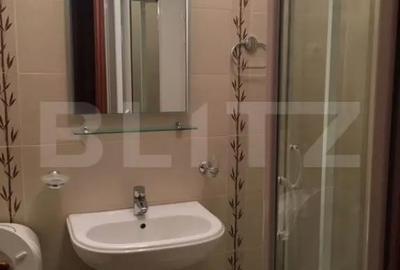 Apartament cu 3 camere decomandat, mobilat în Andrei Mureșanu - 3