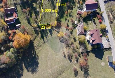 Teren de Vis in Bran - 1000mp Plat, Liniste Absoluta si Aer Curat - 4