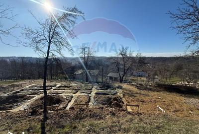 Teren de 1170 mp, în Dumbrăvița - 11