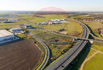 Teren Construcții intravilan de 10000 mp, în Sud - 4