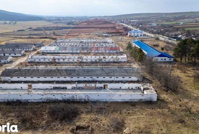 Teren de 39600 mp, în Traian - 7