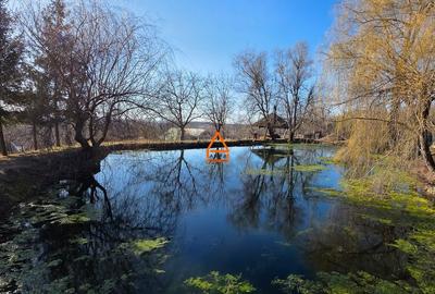 Teren de 2875 mp, în Bucium - 5