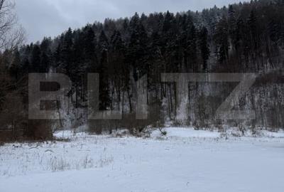 Cabana la munte in inima padurii la 15 km de Brasov, zona Zizin - 2