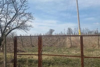 Teren de 1280 mp, în Central - 5