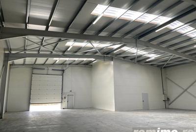 Spațiu comercial, de 1,200 mp, în Rudeni - 19