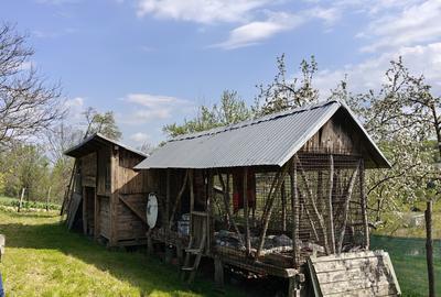 Dolj Casa cu teren generos (10.300 mp) in sat Ungureni - 6