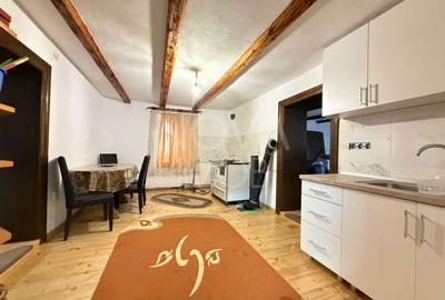 Casa individuala cu teren generos – 8.800 mp – Tichindeal, jud. Sibiu - 4