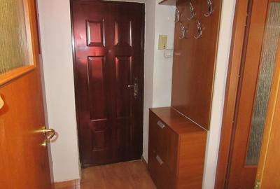 Apartament cu 2 camere semidecomandat, mobilat în Baba Novac - 32