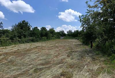 Spațiu comercial, în Baia Sprie - 2