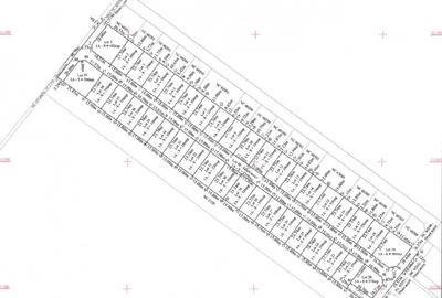 Teren Intravilan Primaverii, Com Berceni | AC - curent si gaz | #EG13E Teren Intravilan Primaverii, Com Berceni | AC - curent si gaz | #EG13E - 2