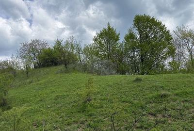 Teren Construcții intravilan de 2440 mp, în Valea Târsei - 13