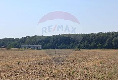 Teren 650mp Ghermanesti / Strada Milcov - 4